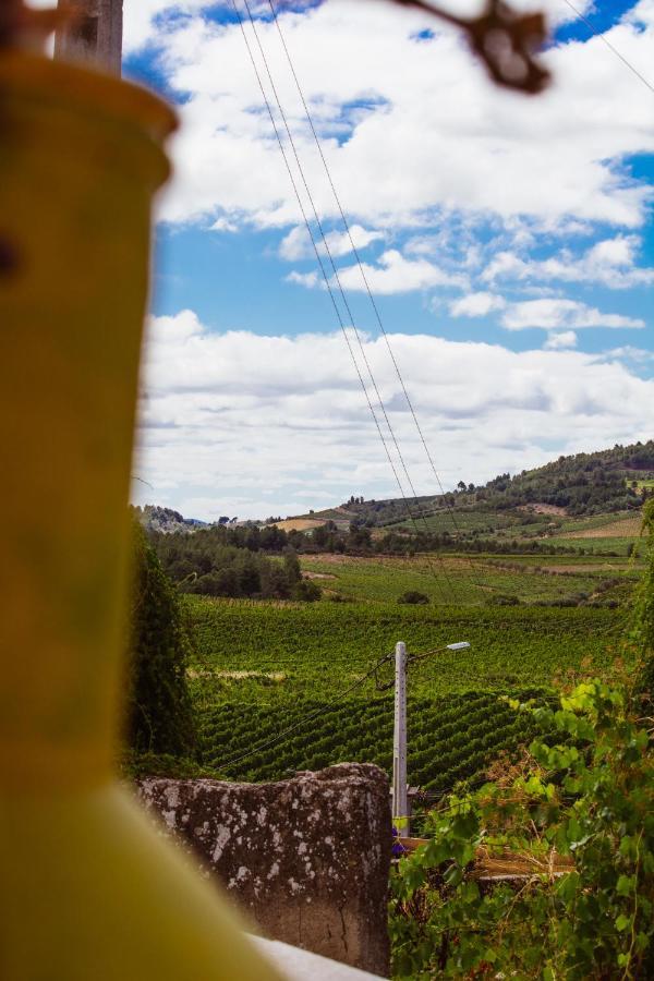 Vila Casas Da Rua Nova Alijó Exteriér fotografie